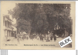 65 : Hautes Pyrénées  : Maubourguet  : Les Allées Larbanes . - Maubourguet