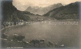 13190084 Kloentalersee Panorama Kloentalersee - Andere & Zonder Classificatie