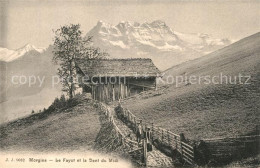 13178514 Morgins Le Fayot Et La Dent Du Midi Morgins - Otros & Sin Clasificación