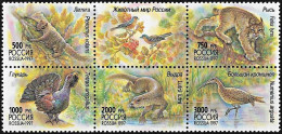 Russia 1997, Native Fauna Animals Birds - Minisheet MNH - Other & Unclassified