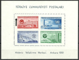 Turkey; 1952 Souvenir Sheet UN Mediterranean Economic Instrustion Center (F.A.O.) ERROR "Red Stamp Shifted Up" - Unused Stamps