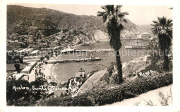 13153172 Avalon_California Panorama Harbour - Andere & Zonder Classificatie