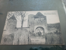 B1/121- SAINT-SEINE-SUR-VINGEANNE- Entrée Du Château De Rozière - Otros & Sin Clasificación