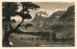 13150444 Grindelwald Wetterhorn Panorama Grindelwald - Autres & Non Classés