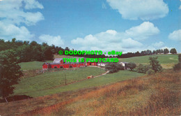 R526333 Edw. Everett Joe Wyskup. 5397G. Scenic Art. Unknown Place. Farm. Postcar - Monde