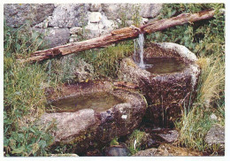 CPSM / CPM 10.5 X 15  Gard (?) Les Cévennes Touristiques Vieux Lavoir En Pierres à Canalisation En Bois - Altri & Non Classificati