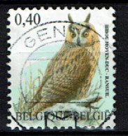 België OBP 3737 - Vogels, Oiseaux, Ransuil, Hibou Moyen-duc, Centrale Stempel - Gebruikt