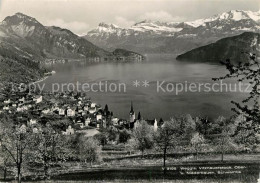 13145170 Weggis Vierwaldstaettersee Mit Vitznauerstock Ober Und Niederbauen Schw - Other & Unclassified