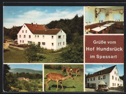 AK Eschau / Spessart, Gasthaus Hof Hundsrück, Innenansicht & Rehe  - Sonstige & Ohne Zuordnung