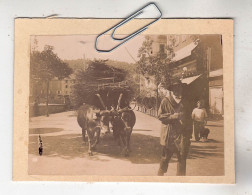 PHOTO TRACTEUR AGRICOLE LA VIE RURALE CHAR A BOEUFS VERS 1910 - Profesiones