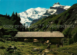 13143188 Kiental Buerglihuette Untere Duerrenbergalp Am Sefinenpass Mit Morgenho - Autres & Non Classés