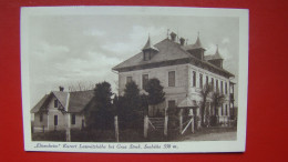 "Elisenheim" Kurort Lassnitzhohe Bei Graz Stmk.Seehohe 550m. - Graz