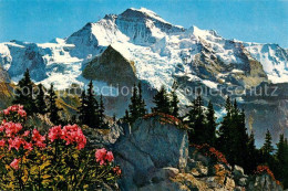 13127883 Jungfrau BE Panorama  Jungfrau BE - Other & Unclassified