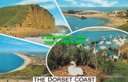 R526246 The Dorset Coast. Salmon. Multi View - World