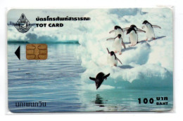 Pingouin  Télécarte Puce Thaïlande  Ecard (K 272) - Thaïland