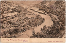 LEBANON. Dog River, Near Dubai. 164 - Liban