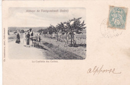 36-ABBAYE DE FONTGOMBAULT CUEILLETTE DES CERISES - Autres & Non Classés