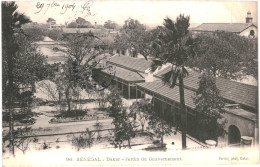 CPA Carte Postale Sénégal Dakar Jardin Du Gouvernement 1904 VM80099ok - Sénégal