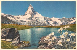 13114162 Zermatt VS Matterhorn Walliser Alpen Edelweiss Riffelsee Bergsee Wallis - Sonstige & Ohne Zuordnung