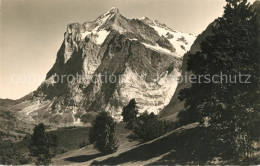 13114148 Grindelwald Wetterhorn Gebirgspanorama Berner Alpen Grindelwald - Autres & Non Classés