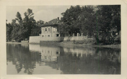 Hungary Zebegeny - Hungría