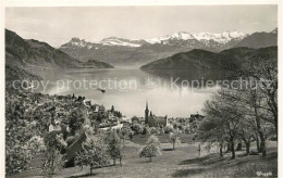 13113852 Weggis Vierwaldstaettersee Landschaftspanorama Alpen Weggis - Andere & Zonder Classificatie