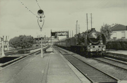 Reproduction - Saint-Denis - 231 E 37 - Eisenbahnen