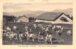 CUVERY (Ain) - Plateau De Retord - Pâturages En Haute Montagne - Troupeau De Vaches - Zonder Classificatie