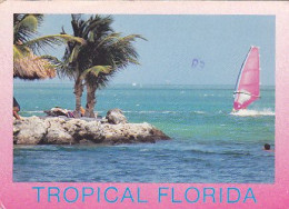 AK 215303 USA - Florida - Andere & Zonder Classificatie