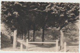 CPA - 10 - VILLENAUXE - Promenade Rue Du Pont Du Roi - Vers 1930 - Pas Courant - Autres & Non Classés