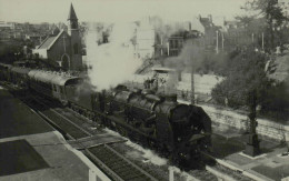 231 E 43 - Photo G. Curtet, Août 1956 - Treinen