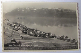 SUISSE - VAUD - VILETTE - Panorama - 1950 - Villette