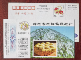 China 1996 Nanyang Granite Work Advertising Postal Stationery Card Cretaceous Dinosaur Egg Fossil - Fossiles