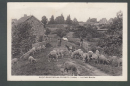 CP - 89 - Saint-Sauveur-en-Puisaye - Le Petit-Moulin - Saint Sauveur En Puisaye