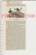 2 Vues Doc 1908 Nid De Bourdons Insecte Bourdon + Bourganeuf Creuse 23 Louis-Albert Bourgault-Ducoudray Musique 222C1 - Zonder Classificatie