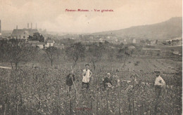 NEUVES-MAISONS - Vue Générale (vue Animée, Cultivateurs De Fleurs - Travailleurs Des Champs) - Neuves Maisons