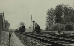 Longueil-Sainte-Marie - Rapide De Bruxelles 232 R 1 - Photo J. Gallet, 10-5-1953 - Eisenbahnen
