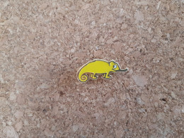 Pin's Peugeot Cameleon Jaune - Peugeot