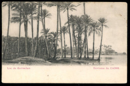Le Caire Environs Du Lac De Bedrechen - Le Caire