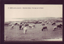 44 - PREFAILLES - COTE SAINT-GILDAS - PATURAGE SUR LA FALAISE  - Other & Unclassified