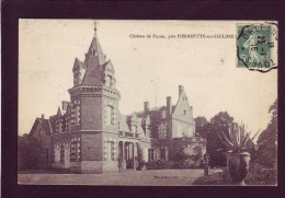 41 - PIERREFITTE-sur-SAULDRE - LE CHATEAU DE FALASE  - Sonstige & Ohne Zuordnung