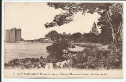 Saint Honorat L'Ancien Monastère à Travers Les Pins  1920    N° 4 - Autres & Non Classés