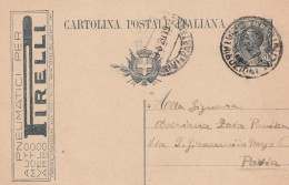 1839 - REGNO - Cartolina Postale Pubblicitaria Da Cent.15 Ardesia Del 1920 Da Torino A Pavia - Pubblicitari