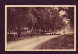 40 - LANDES DE GASCOGNE - LE BERGER ET SES MOUTONS - SUR LES ROUTES POUDREUSES - ANIMÉE -  - Other & Unclassified