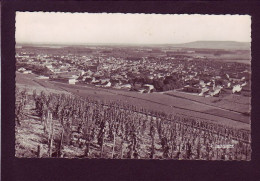 51 - AY-en-CHAMPAGNE - VUE PANORAMIQUE DU VILLAGE ET DES VIGNES -  - Ay En Champagne