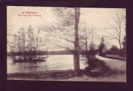 73 - SAINT-EMILAND - UN COIN DE L'ETANG -  - Andere & Zonder Classificatie