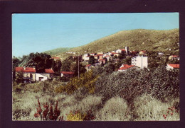 06 - PEYMEINADE - VUE GÉNÉRALE -  - Autres & Non Classés