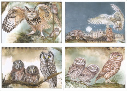 Cards 853-6 Czech Republic European Owls 2015 - Birds