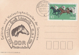 Motiv Pferde DDR BSG Traktor Groß Lüsewitz DDR Meisterschaften 1986 - Chevaux