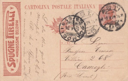 1840 - REGNO - Cartolina Postale Pubblicitaria Da Cent.30 Arancio Del 1924 Da Asti A Camogli - Reclame